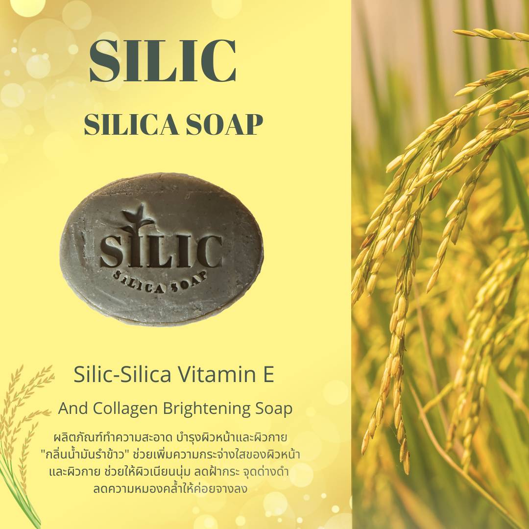 Silic Silica Soap